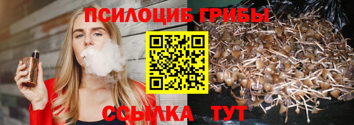 Алатырь  купить закладку  Вход с VPN  Псилоцибиновые грибы MAGIC MUSHROOMS 
